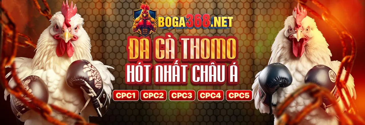 Đá Gà Trực Tuyến Hay 88aa